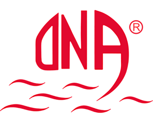 ina.png